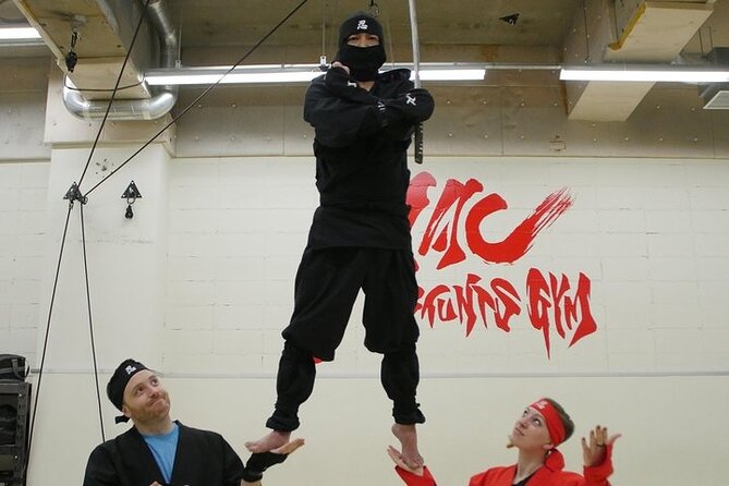 Ninja Wire Action Experience - Wire Action for Beginners: The Real Value Is the Coaching