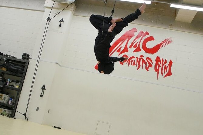 Ninja Wire Action Experience - Price and Value: Why $111.50 Can Make Sense