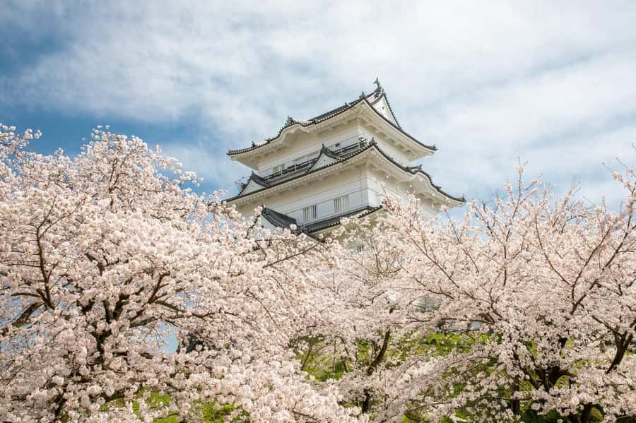 Odawara: Guided Ninja & Samurai Tour of Odawara Castle - First stop at 小田原城NINJA館: meet your guide and set the vibe