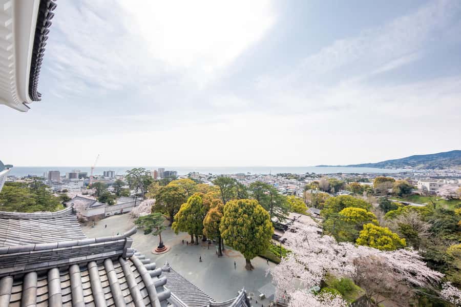 Odawara: Guided Ninja & Samurai Tour of Odawara Castle - Samurai Museum: real armor and swords you can actually study