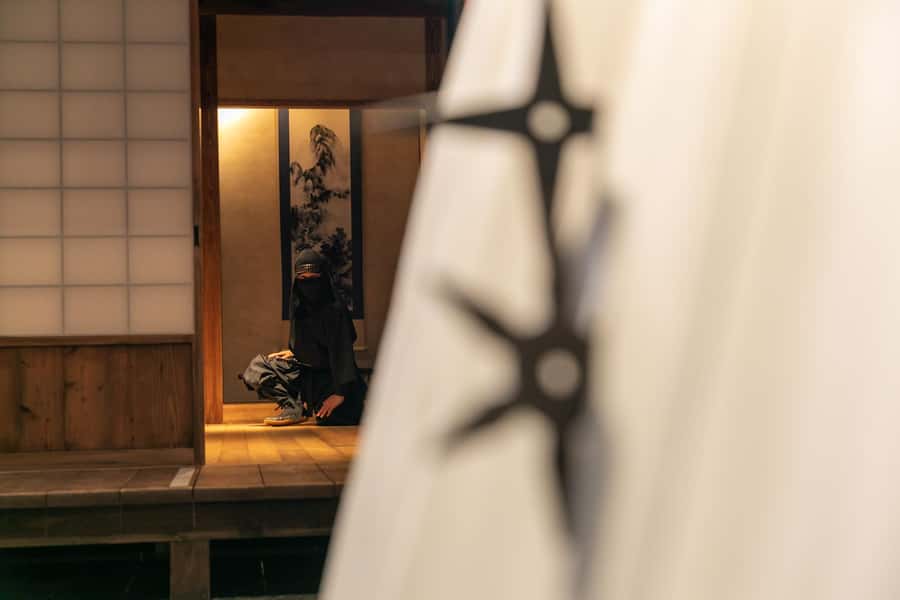 Odawara: Guided Ninja & Samurai Tour of Odawara Castle - Odawara Castle Park walk: Hojo stories with blossom-season atmosphere