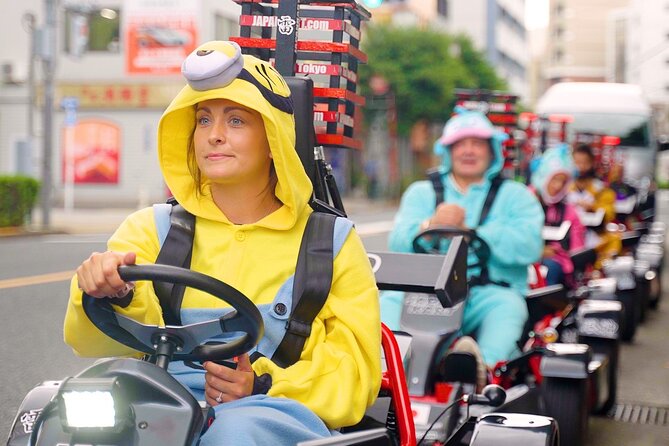 Official Japan Go-Kart Through Tokyo Bay / Ginza (IDP Required) - Tokyo Bay to Ginza by go-kart, on real roads