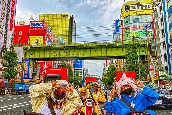 Official Street Go-Kart Tour - Akihabara - Costumes, character vibes, and the photo advantage at lights