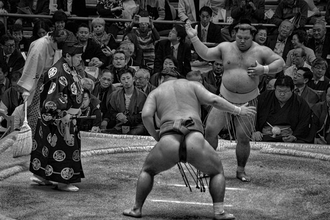Official Sumo Tournament Ticket with Guided Experience - Who this guided sumo experience is best for