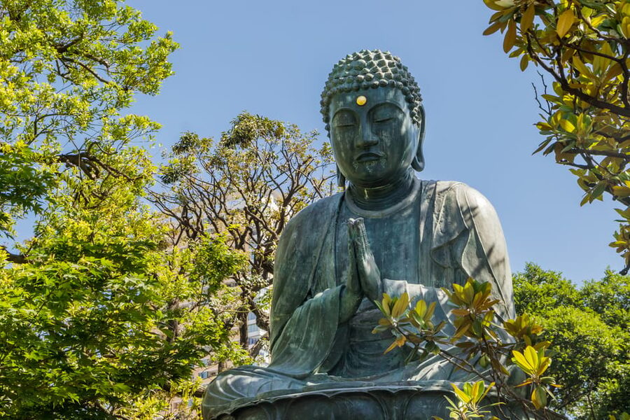 Old and Nostalgic Tokyo: Half-Day Yanaka Walking Tour - Should You Book This Old and Nostalgic Tokyo Walk?
