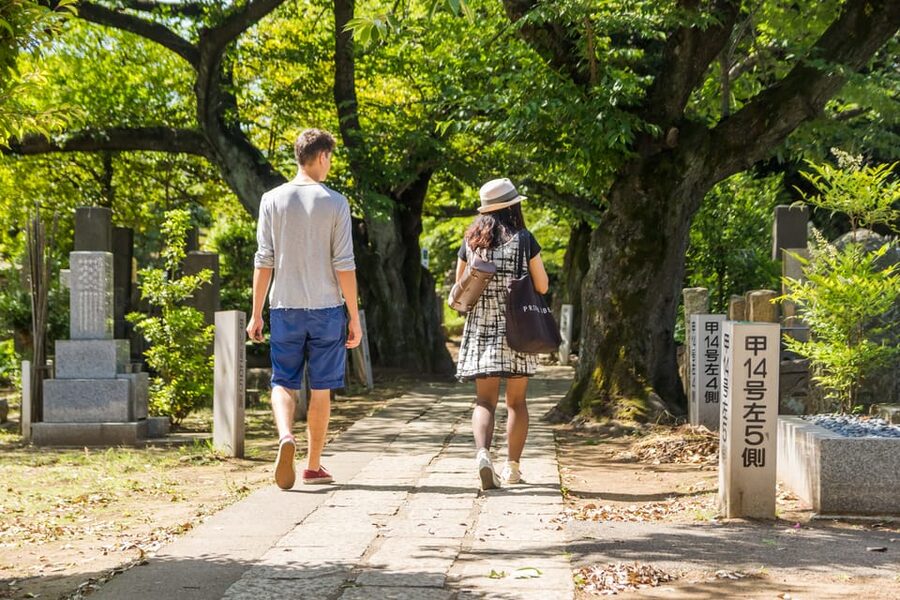 Old and Nostalgic Tokyo: Half-Day Yanaka Walking Tour - Yanaka Reien Cemetery: 7,000 Tombstones and Cherry Blossom Views