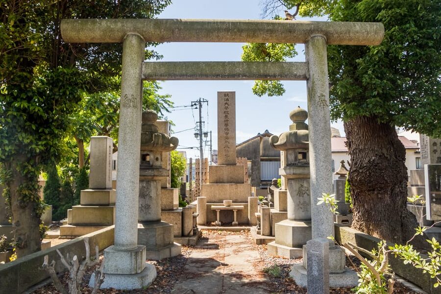 Old and Nostalgic Tokyo: Half-Day Yanaka Walking Tour - Yanaka-Ginza Shopping Street: Snacks, Sweets, and Old-Style Streets