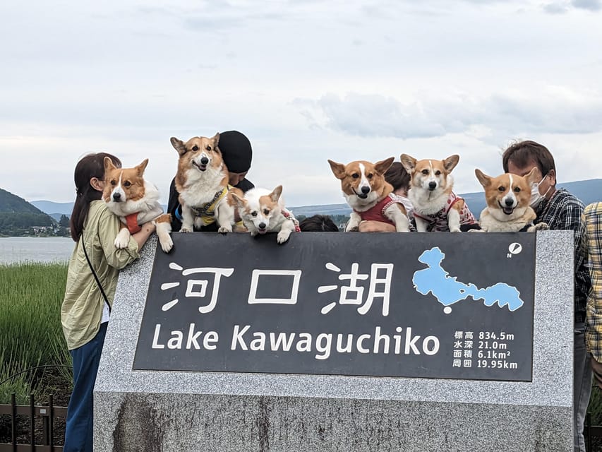 One Day 10hrs Mount Fuji Tour English Speaking Driver - A Private Fuji Day From Tokyo, With Room for 6 People