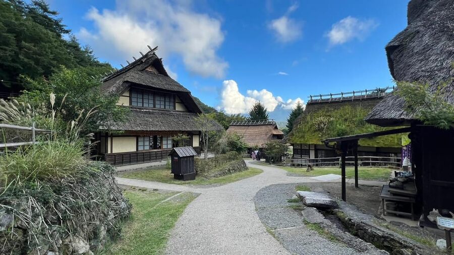 One Day 10hrs Mount Fuji Tour English Speaking Driver - Lake Kawaguchiko and Oishi Park: The Slower Side of Fuji Country