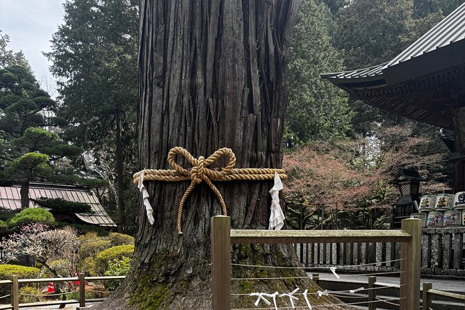 One day mountain Fuji & Hakone tour with English hindi bilingual - Price and value for up to 6 people
