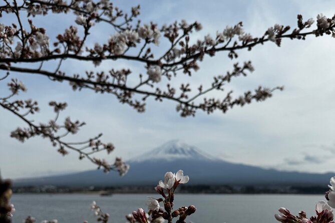 One day mountain Fuji & Hakone tour with English hindi bilingual - Your day, stop by stop: from Saiko to Owakudani