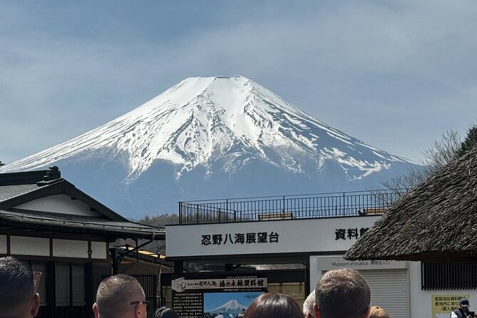 One day mountain Fuji & Hakone tour with English hindi bilingual - Comfort and pacing: the good part, plus one real consideration