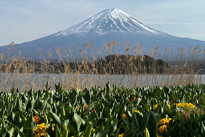 One day mountain Fuji & Hakone tour with English hindi bilingual - Who this tour suits best