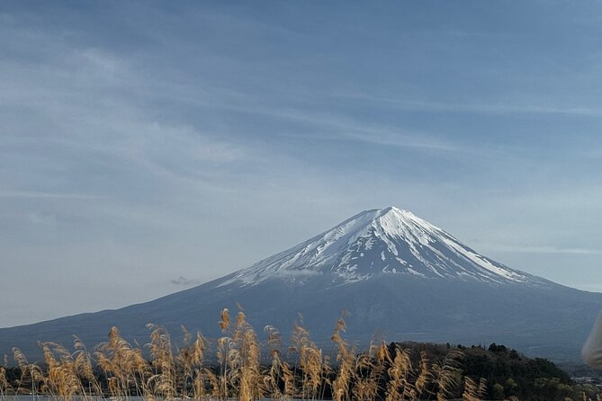 One day mountain Fuji & Hakone tour with English hindi bilingual - Pickup, mobile tickets, and an English and Hindi friendly experience