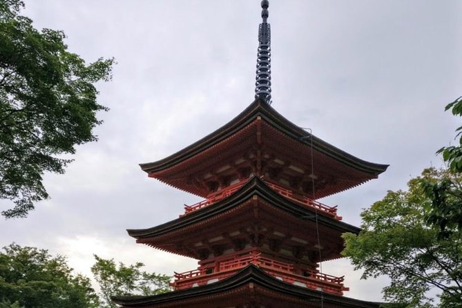 One Day Private Tour Nikko Tochigi only for Your Family by car - From Tokyo hotel to Nikko in comfort: what the private car actually solves