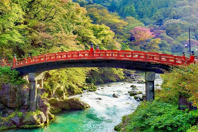 One Day Private Tour to Nikko With English Speaking Driver - Why this Nikko private tour feels easier than doing it on your own