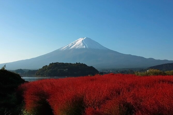 One Day Tour to Oishi Park and Fruit Picking in Mt. Fuji Tokyo - Key takeaways before you go