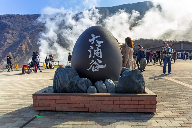 One day trip to Hakone from Tokyo with English speaking Driver - Stop 4: Hakone Ropeway for High-Level Views Over Mountains and Valleys
