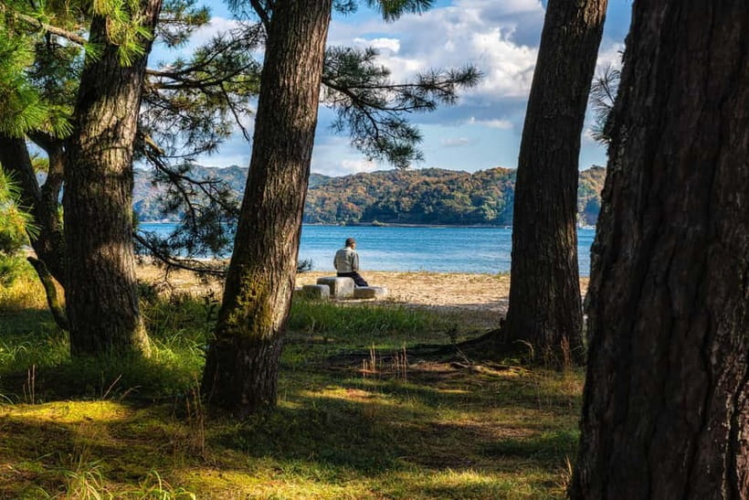 Osaka: Kyoto By The Sea with Amanohashidate & Ine no Funaya - Amanohashidate Beach: sea breeze time, pine paths, and optional bike rental