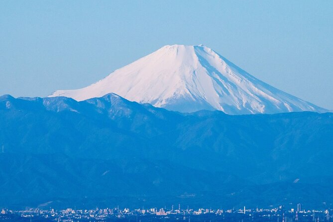 Private Airport transfer Haneda Airport(HND) to Tokyo City - Tips for a Smooth First Hour in Tokyo
