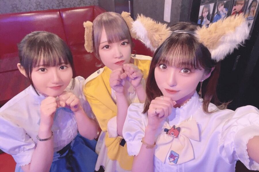 Private Akihabara Anime Game Maid Cafe Tour w/ free pickup - Key Things That Make This Tour Worth It