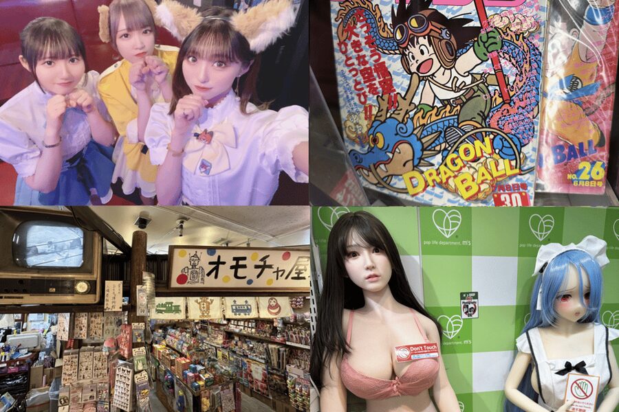 Private Akihabara Anime Game Maid Cafe Tour w/ free pickup - Pickup in a White Lexus LS 460, and Why It Matters in Tokyo