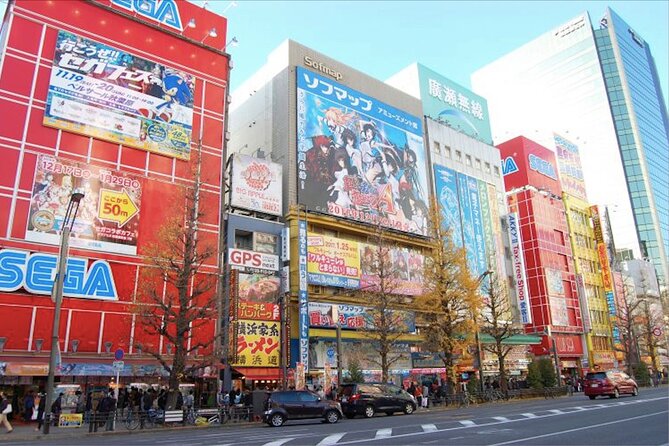 Private Akihabara Anime Guided Walking Tour - What you get from a private guide, and where you really feel it
