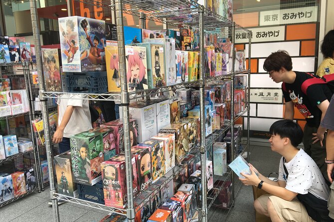 Private Akihabara Anime Guided Walking Tour - How customization should work for you, not against you