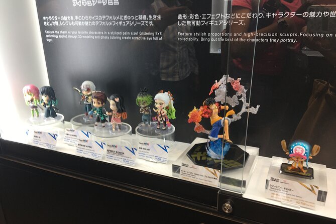 Private Akihabara Anime Guided Walking Tour - Price and value: is $227.63 per person worth it?