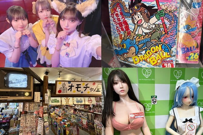 Private Akihabara Retro Tokyo Anime Game Maid Cafe Tour w/ pickup - Key Points You Can Feel Good About