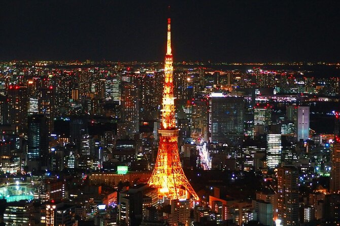 Private and Customisable Tokyo Tour with English Driver-guide - Why a private Tokyo day beats the transit shuffle