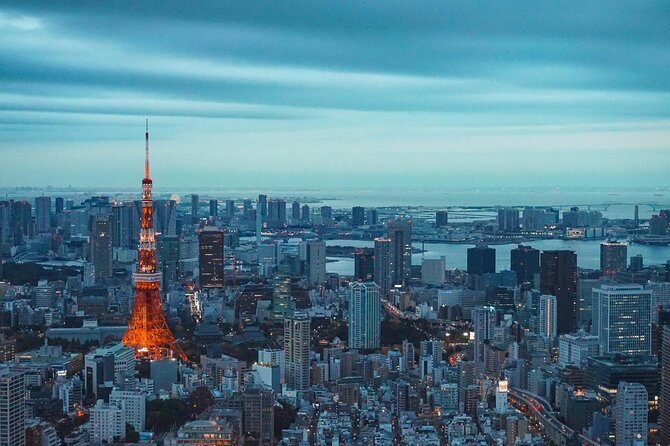 Private and Customisable Tokyo Tour with English Driver-guide - Tokyo Skytree first: the skyline hit, with admission on you