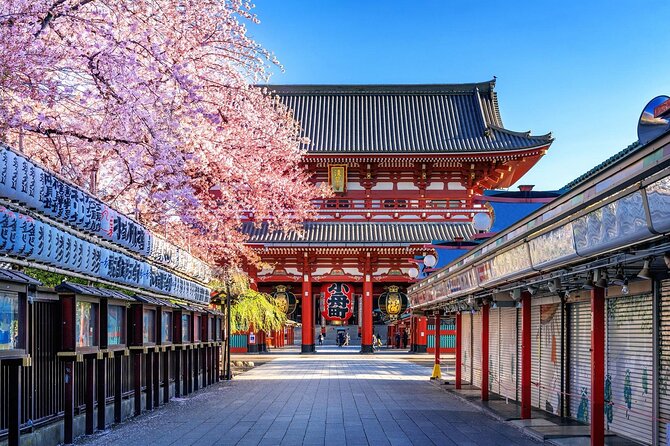 Private and Customisable Tokyo Tour with English Driver-guide - Senso-ji Temple and Nakamise street in Asakusa