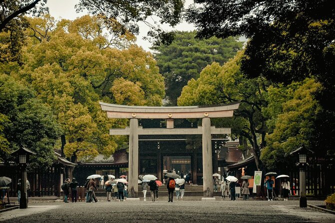 Private and Customisable Tokyo Tour with English Driver-guide - Ueno Park, then the Imperial Palace area for a slower pause