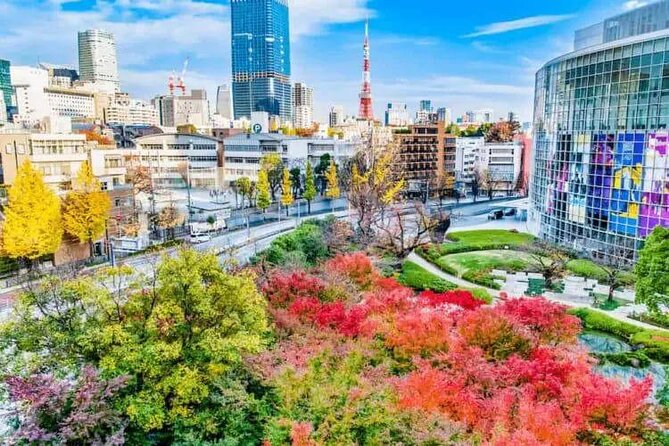 Private and Customisable Tokyo Tour with English Driver-guide - Tsukiji Fish Market to Shibuya Crossing, from seafood to neon