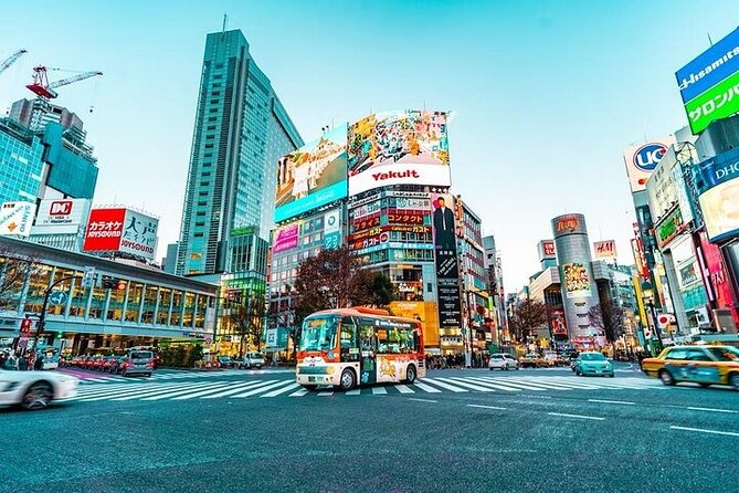 Private and Customisable Tokyo Tour with English Driver-guide - Takeshita Street in Harajuku and Meiji Jingu’s quiet forest feel