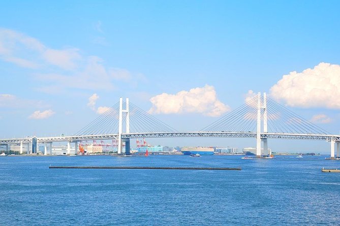 Private Arrival Transfer : Haneda Airport to Yokohama City - Drop-Off Details: Hotel Lobby Rules and the 045 Phone Number Clue