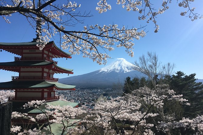 Private Car Mt Fuji and Gotemba Outlet in One Day from Tokyo - Chureito Pagoda and Arakura Sengen Shrines: Fuji Photos Without the Chaos