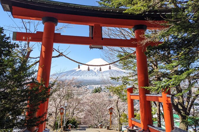 Private Car Mt Fuji and Gotemba Outlet in One Day from Tokyo - Fujisan World Heritage Center and Mt. Fuji Panoramic Ropeway: Adding Context and Views
