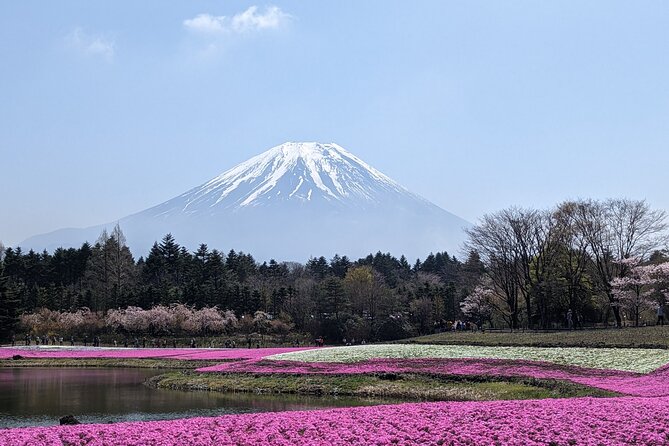 Private Car Mt Fuji and Gotemba Outlet in One Day from Tokyo - Lake Kawaguchiko and Oishi Park: The Best Place to Slow Down