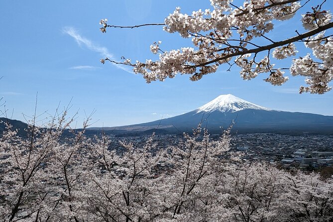 Private Car Tour to Mt. Fuji Lake Kawaguchiko or Hakone - Key things to know before your private Fuji or Hakone day