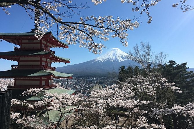 Private Car Tour to Mt. Fuji Lake Kawaguchiko or Hakone - Lake Kawaguchiko highlights: Best angles, flowers, crafts, and Oshino Hakkai
