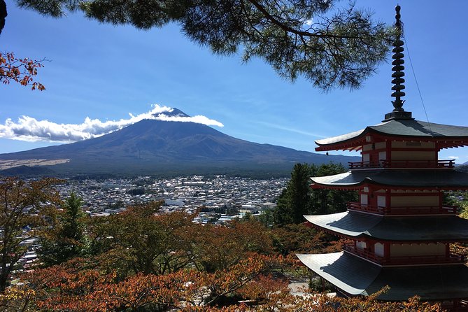 Private Car Tour to Mt. Fuji Lake Kawaguchiko or Hakone - 5th Station reality: When it is open, what it costs, and why you might skip it