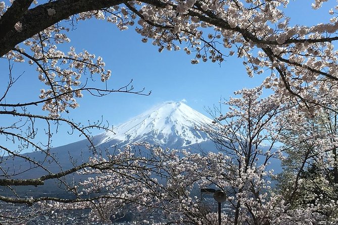 Private Car Tour to Mt. Fuji Lake Kawaguchiko or Hakone - Aokigahara caves and the Fuji ropeway: Where the day gets adventurous