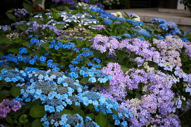 Private Car Tour to see Highlights of Kamakura, Enoshima, Yokohama from Tokyo - Hasedera Temple: flowers by season and a big Kannon statue