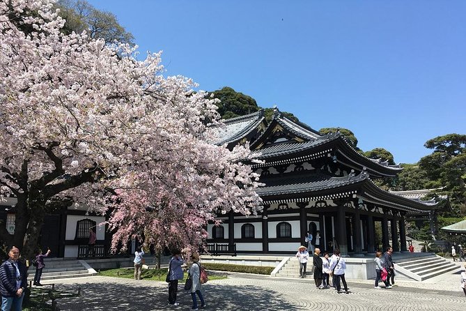 Private Car Tour to see Highlights of Kamakura, Enoshima, Yokohama from Tokyo - Tsurugaoka Hachimangu Shrine and Komachidori shopping street
