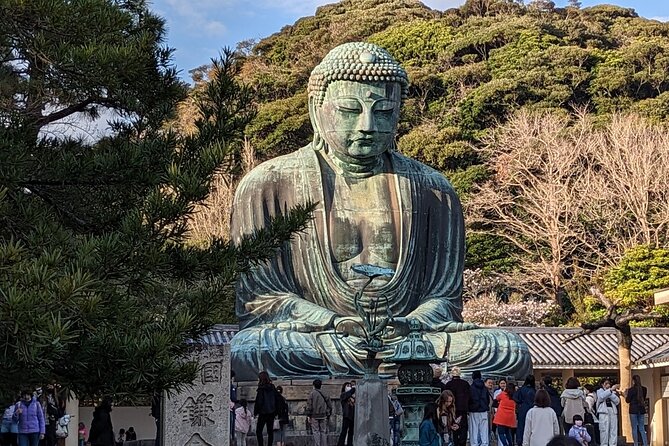 Private Car Tour to see Highlights of Kamakura, Enoshima, Yokohama from Tokyo - What the per-group price buys you
