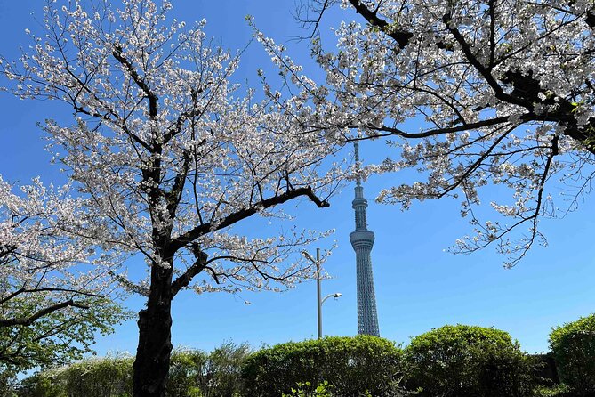 Private Custom Tour in Tokyo with a Bilingual Japanese Guide - Key highlights to know before you go