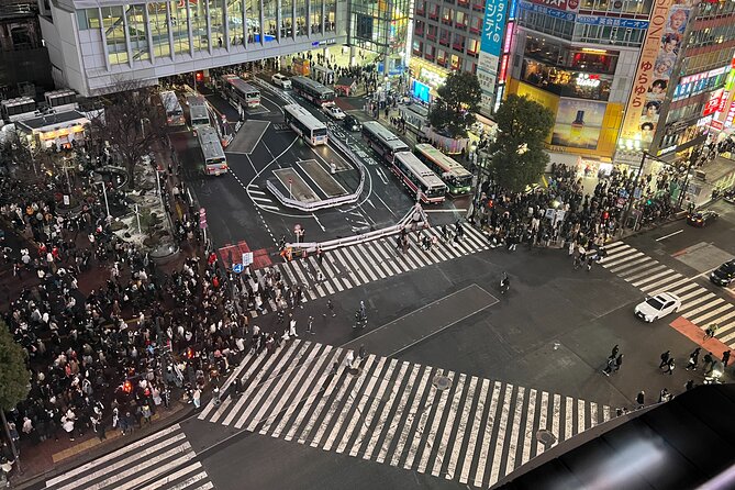 Private Custom Tour in Tokyo with a Bilingual Japanese Guide - Meiji Shrine and Takeshita Street: Peace, Then Chaos (In a Fun Way)