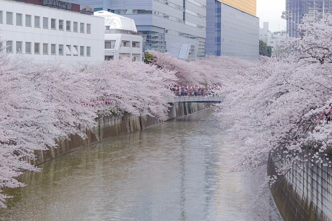 Private Custom Tour: Tokyo in a Day - Hamarikyu Gardens: A Breather Between Crowds